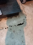 20221012_120634.jpg