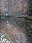 20221014_113805.jpg